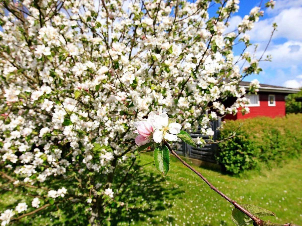 4 Person Holiday Home In Otterup Torreso Kültér fotó